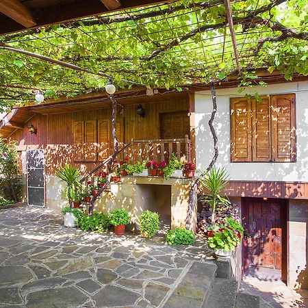 Хаджикольовата Къща Villa Medven Exterior foto