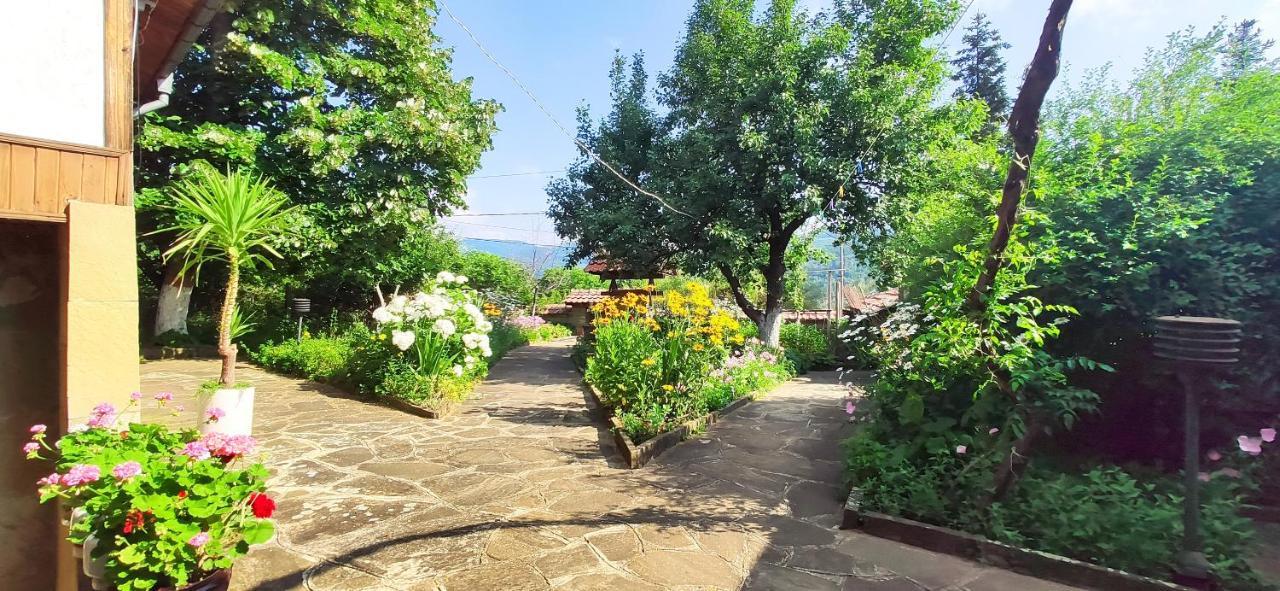 Хаджикольовата Къща Villa Medven Exterior foto
