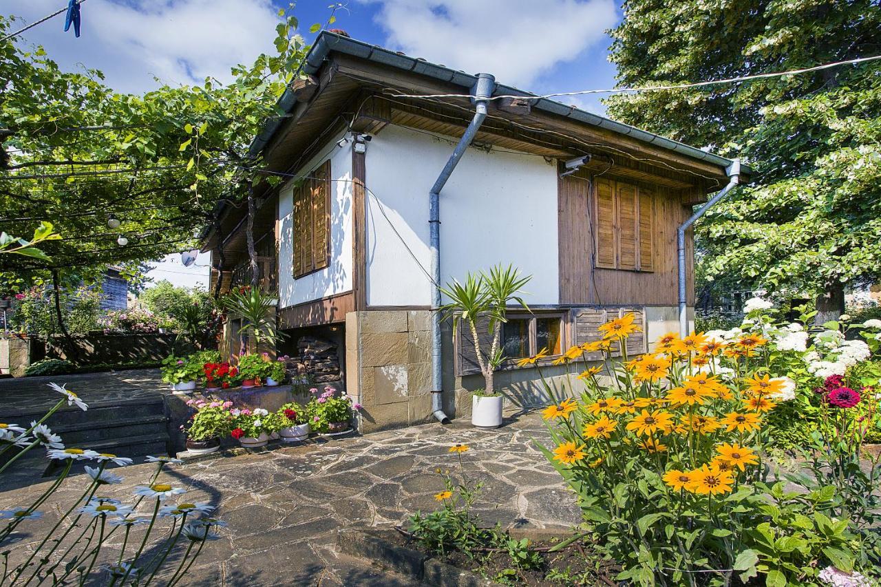 Хаджикольовата Къща Villa Medven Exterior foto